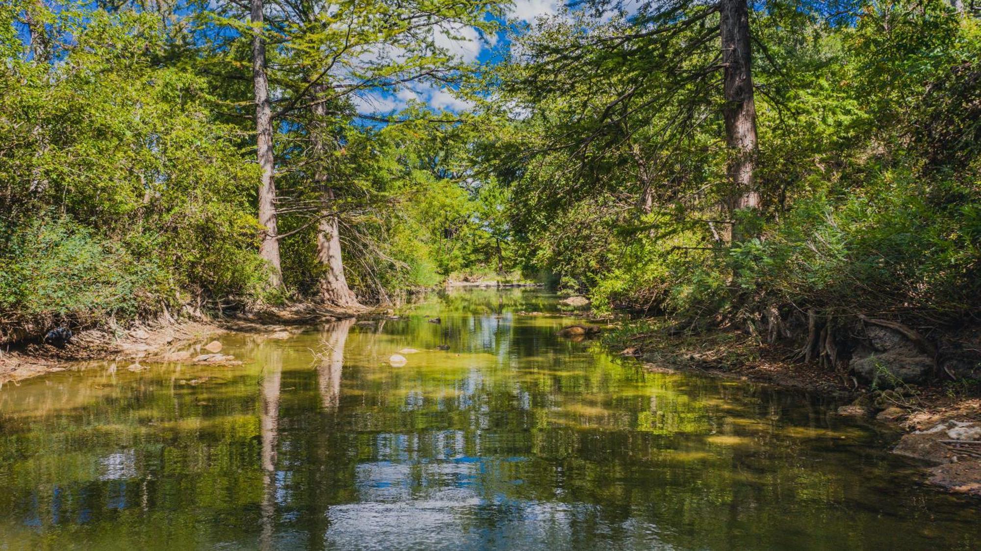 Pecan Cabin Fredericksburg Dış mekan fotoğraf