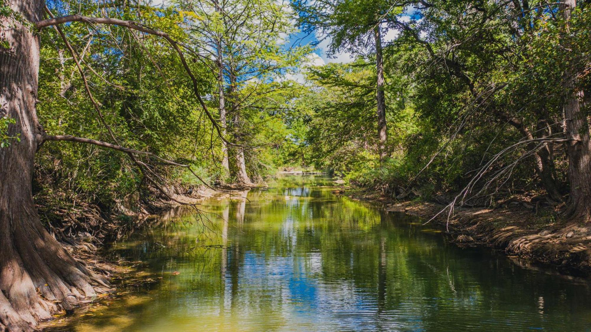 Pecan Cabin Fredericksburg Dış mekan fotoğraf